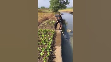 Garden Watering Process - Unique tools to boost efficiency and streamline work