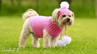 Crochet a dog beanie hat | Small | Full free tutorial | Hat and Sweater matching set