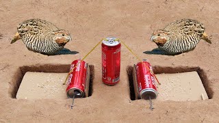 Easy Creative Underground Quail Trap Make From 3 Coca-Cola Cans And Paper - Simple Unique Bird Trap
