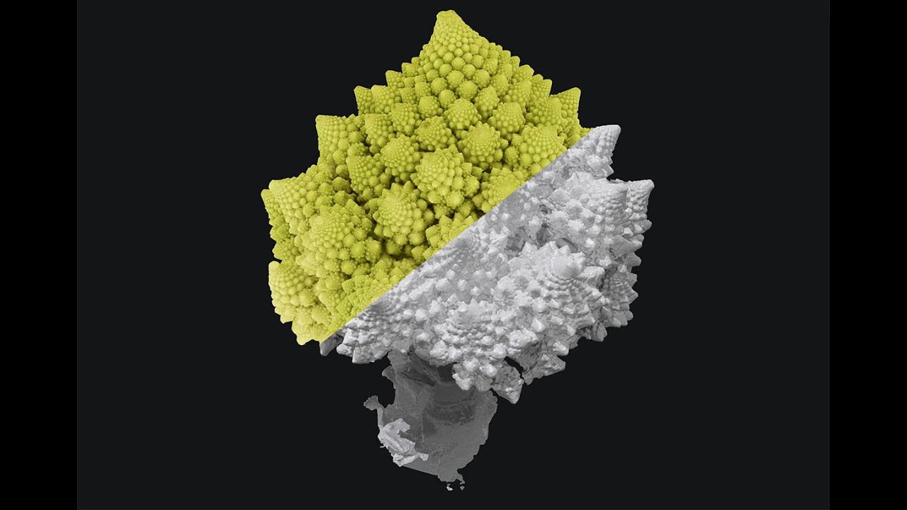 3d Scan Test Romanesco Youtube