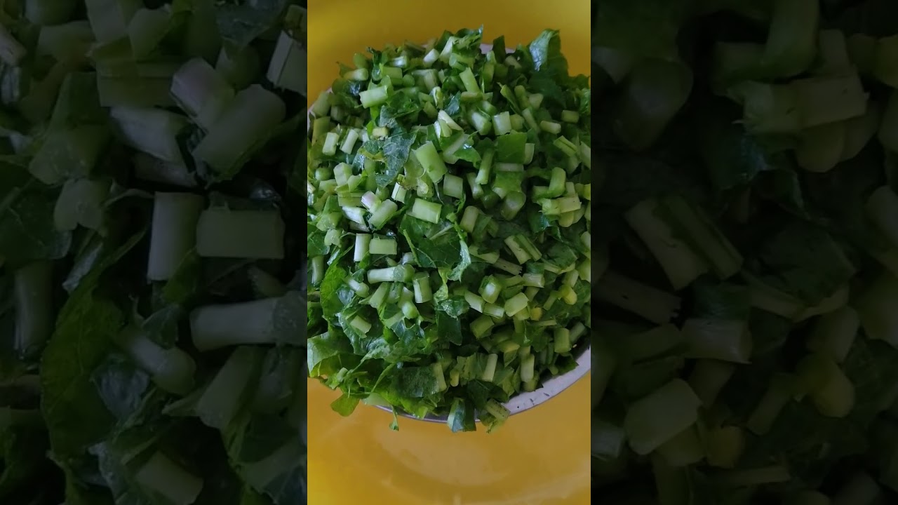 Raddish harvesting to storing fridge 