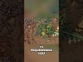 Favela: A Planta Incrível com Espinhos Gigantes! #shorts