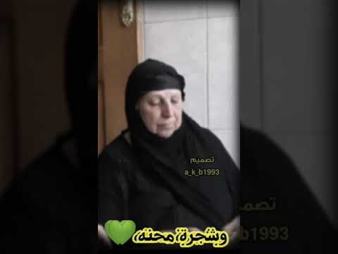 امي كلمة عافيه وشجرة محنه باسم الكربلائي