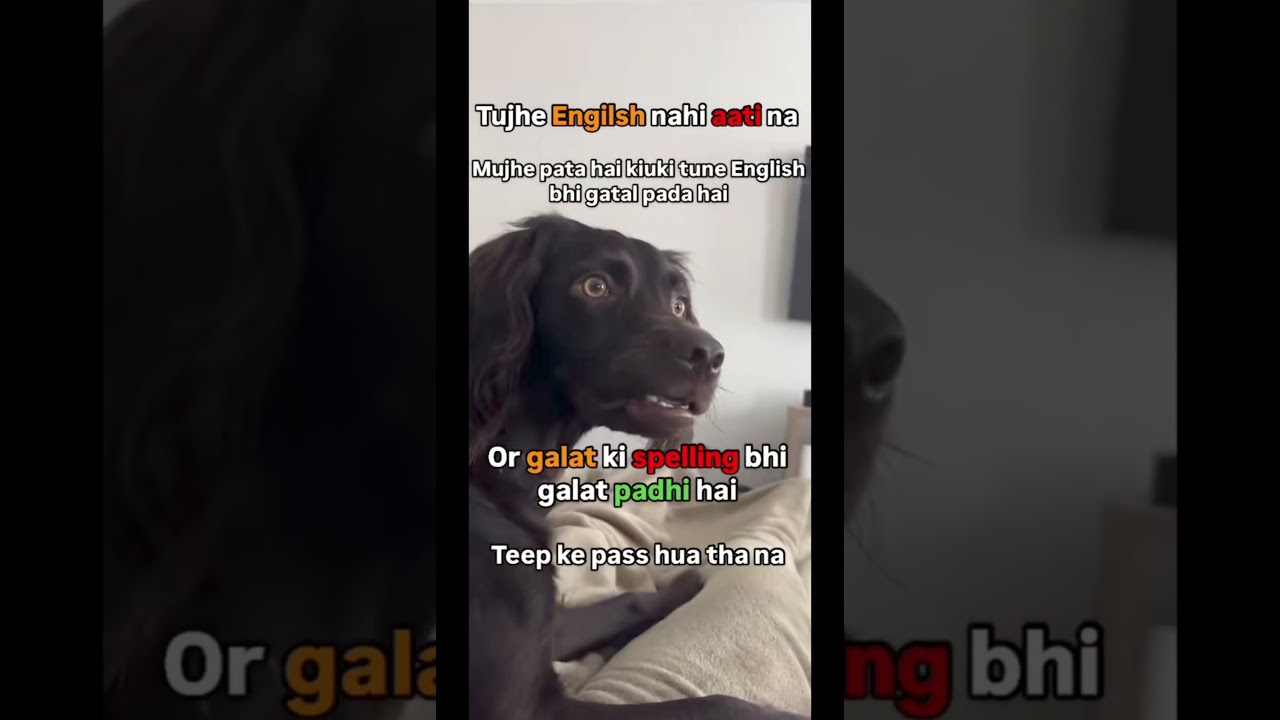 "🤣 Galat Spelling Ki Kahani | Funny Viral Video"