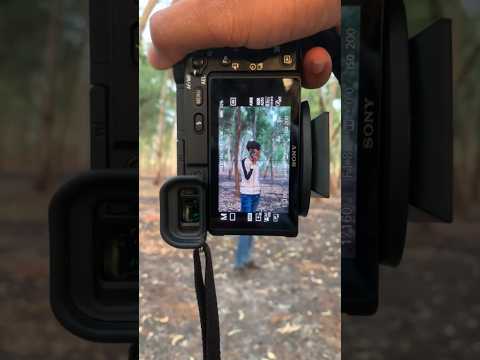 Sony A6400 50mm lens portrait photography test📸#sony #camera #sonya6400 #photography #dslr #shorts