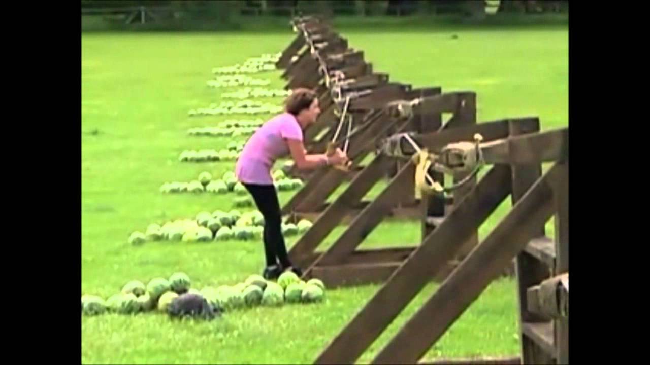 Nek Minute The Amazing Race (Watermelon) YouTube