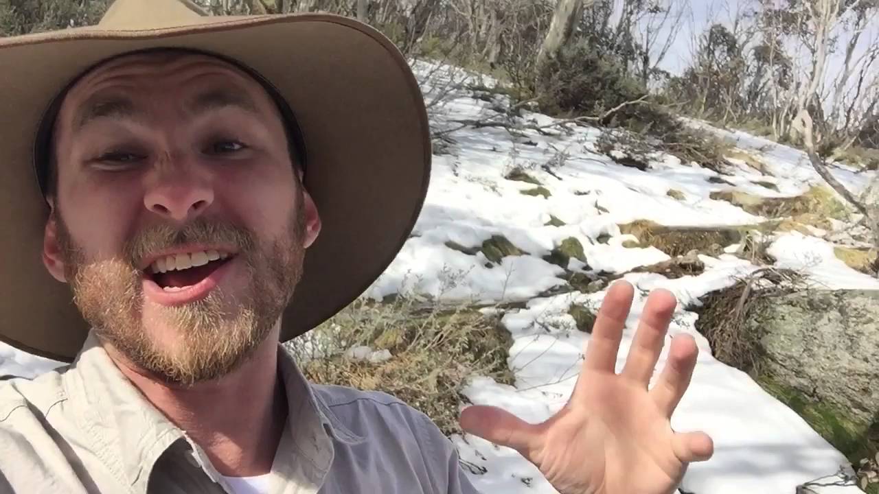 wildlife tea DOES IT SNOW IN AUSTRALIA with Ranger Jamie