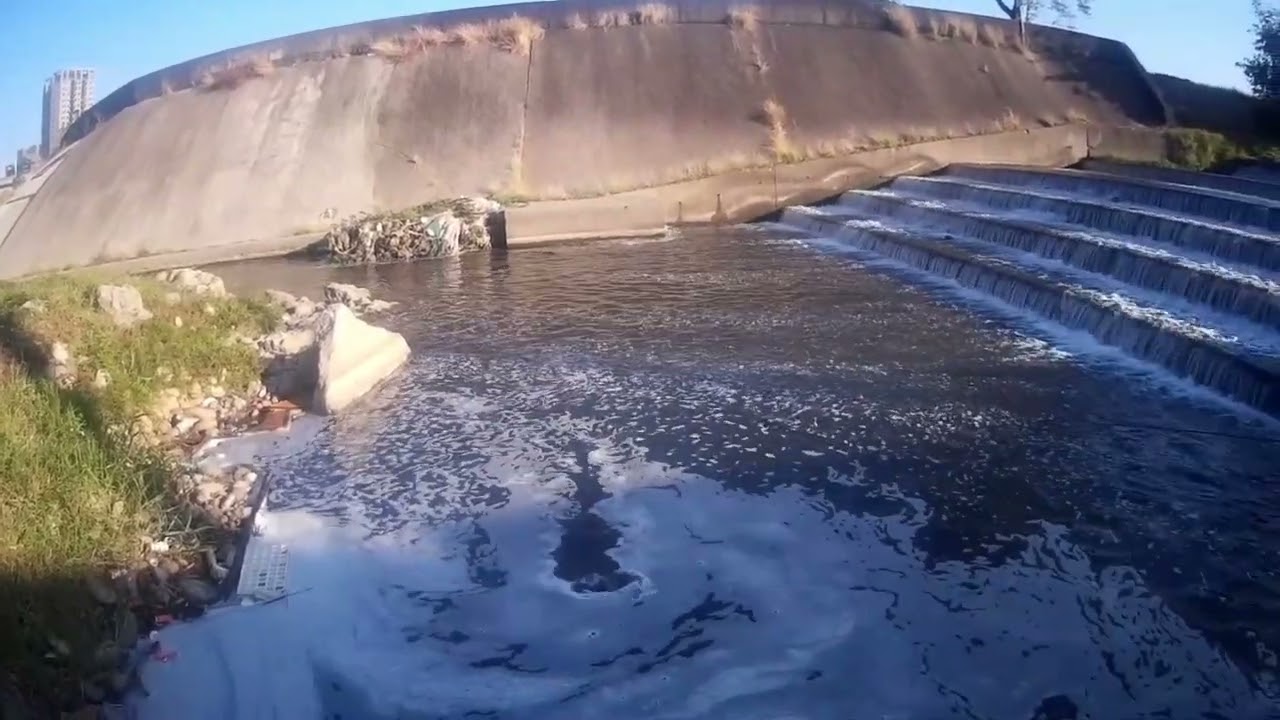 再來這裡看看大魚有沒有回來~~結果還是小魚一堆