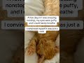 #cat mom #cat #catshorts #cats #catsofusa #catlovers #catlove #cathealth #catparent #cathealthtips