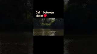 Love your life #livetoday #ihavethisthingwithplants #photography #creative #naturelovers #lifestyle