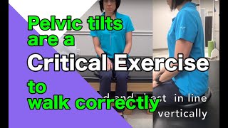 Core strengthening exercise for beginners: Part 1