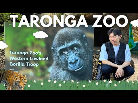 Taronga Zoo Tour