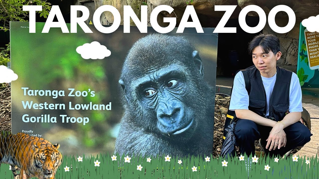 Taronga Zoo Tour 🦍 Magnificent Animals in Taronga Zoo, Sydney 🐅
