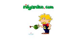 انواع کاکتوس
