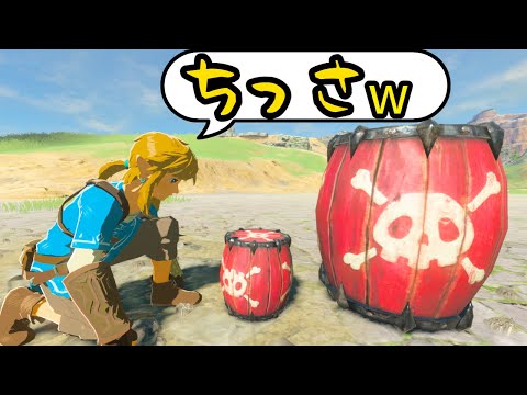 こんなタル、見たことありますか？【ブレワイ】