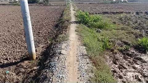 🔴 bán đất thổ cư 👉 và đất lúa , ấp cầu xây , xã Tân Lân cần đước long an.