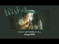 Jamie Miller – Wishes //thaisub