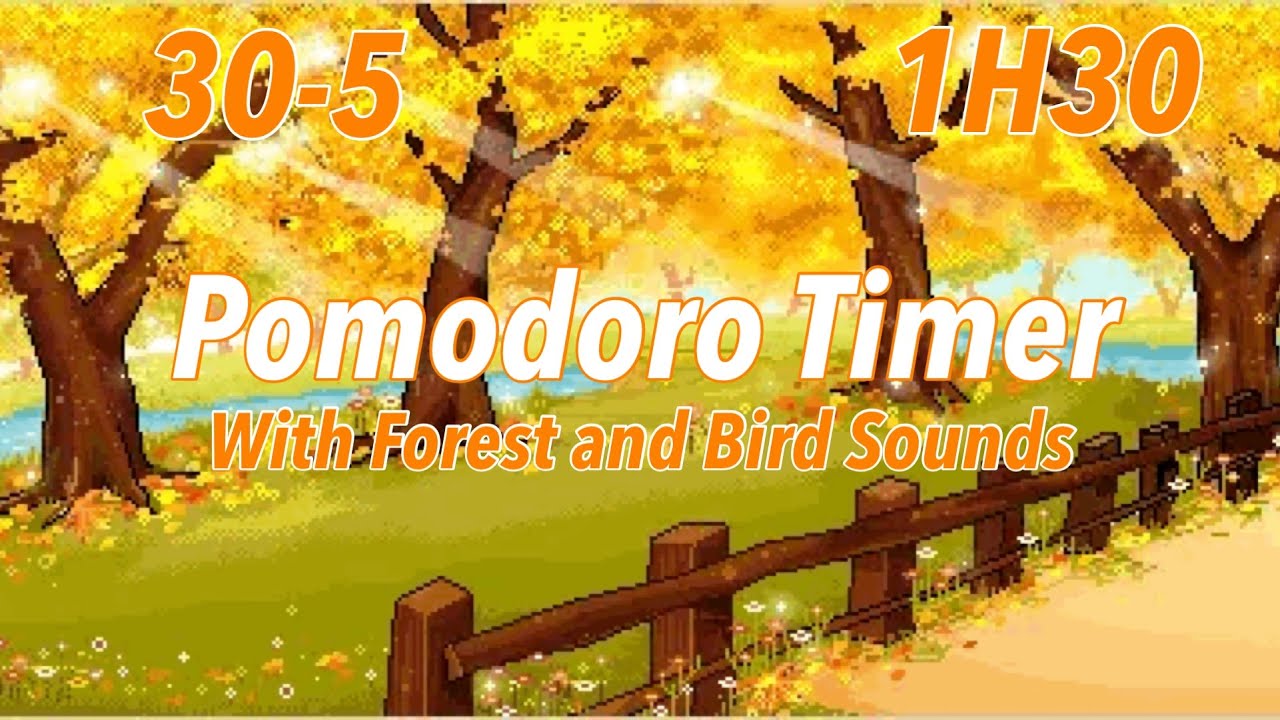 1h30 pomodoro 30 5 silent autumn forest afternoon with beeps