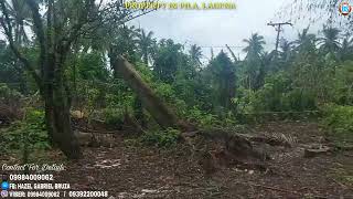 (P#327) 4,150 sqms Farm Lot 3.5M pwede magdown ng 2M in Pila, Laguna Available for sale