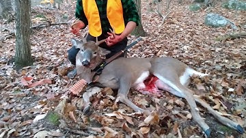 Marlin 336 30-30 Ranger Point Precision