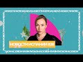 Обыски у брата Санчеса, таблетки от гомосексуальности, Испания в финале и другие новости Испании