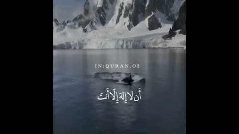 استمع لبعض من ايات القران الكريم❤️😻