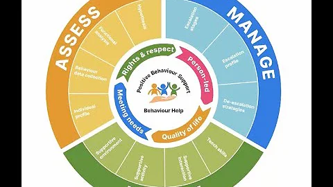 What is positive behaviour support?