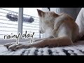 rainy day (+ more card games) | Vlogmas Day 15