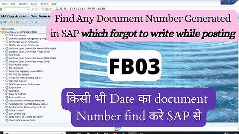 Find Document Number in SAP | FB03 | - 天天要闻
