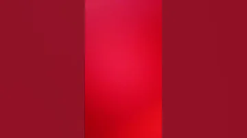 Https Mega Nz File 8D4SDSLT TQWLw9k 