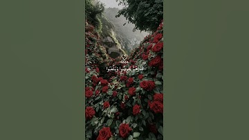 أَيَطۡمَعُ كُلُّ ٱمۡرِيٕٖ مِّنۡهُمۡ أَن يُدۡخَلَ جَنَّةَ نَعِيمٖ ٣٨🖤سورة المعارج #الشيخ #علي_جابر