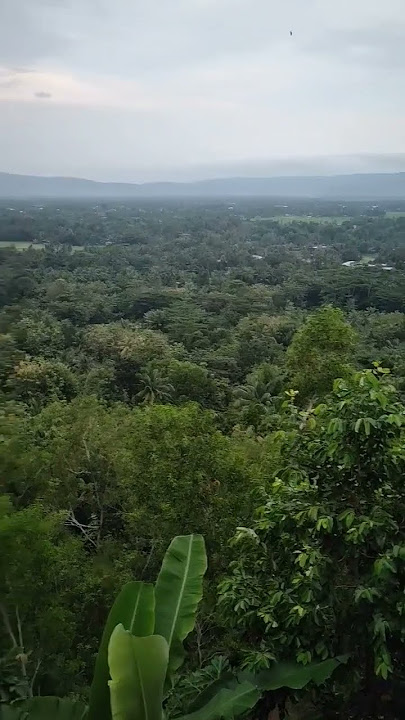 suasana sore gunung