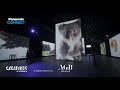 Panasonic supports AGB Creative showcasing a WILD cinematic experience; Creatures of Australia Mp3 Song