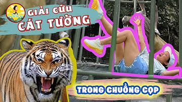 GIẢI CỨU Cát Tường TRONG CHUỒNG CỌP | Ngao Du Sơn Thuỷ | MC Diễn viên Nguyễn Trí Cát Tường