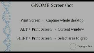 How to make a screenshot with Gnome Screenshot on Ubuntu Linux