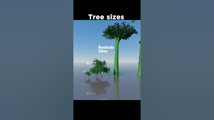 🌳The Tallest Tree in the World! 🤯😯
