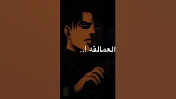 راب ليفاي 