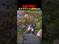 緊迫の瞬間？！カメラマンvs動物たちTOP5！