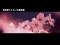 【 歌ってみた 】桜色舞うころ/中島美嘉  covered by Todo