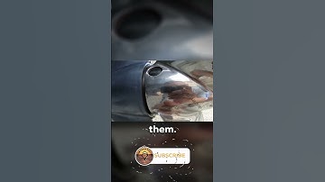 Does your prop NEED venting?