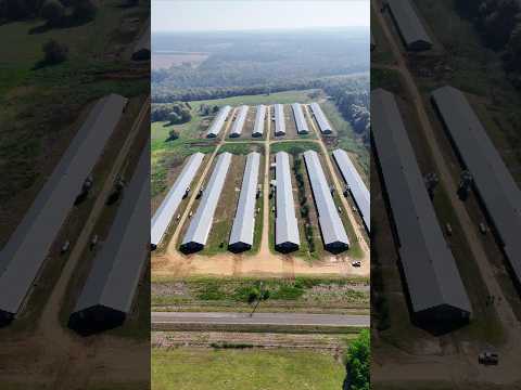 New listing: 12 Broiler Houses in South Georgia