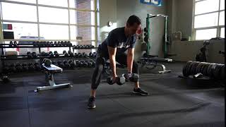 Sumo Alt. Bent Over DB Row
