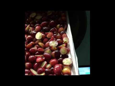 Freeze Dry Arkansas-Grapes&Frozen Cranberry Salad