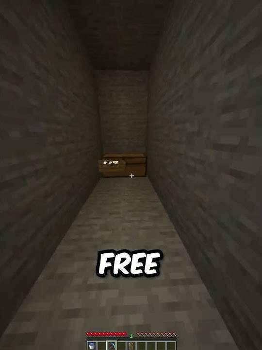 Smartest Minecraft Player (69420  iq)