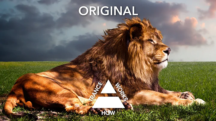 Feel & Sarah Shields - Hero (Original)