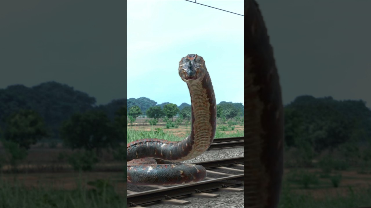 SNAKE VS TRAIN 😱😳🔥  