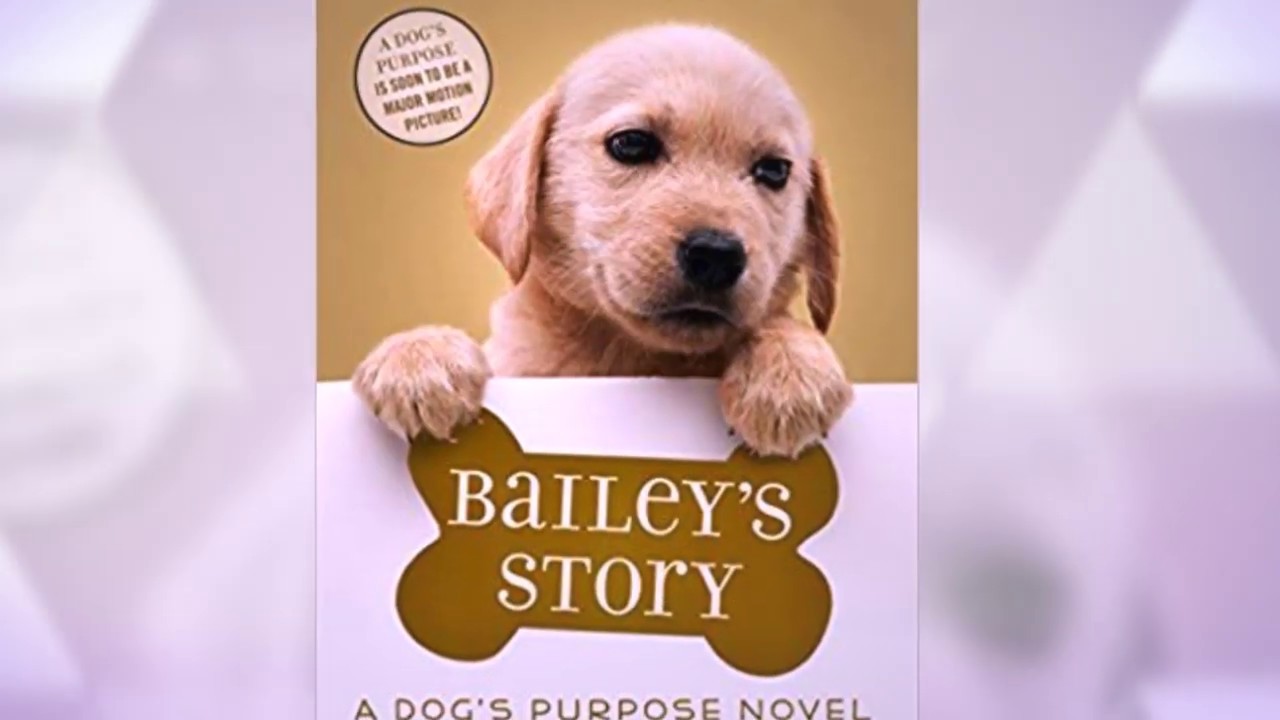 Baileys Story Book Trailer YouTube