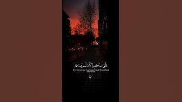 اكتب شي تؤجر عليه 😴❤️#تلاوة_خاشعة #اكسبلور #قران_كريم #راحة_نفسية #شورتس 