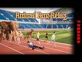 【Animal Run Relay】対アニマルリレー開催!!!!!!【にじさんじ/佐伯イッテツ】