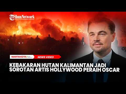 Kebakaran Hutan Kalimantan Jadi Sorotan Artis Hollywood Peraih Oscar